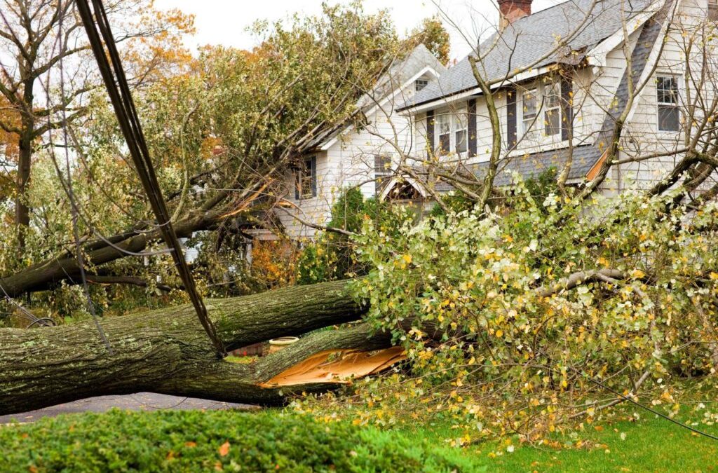 Does My Insurance Policy Cover Storm Damage?