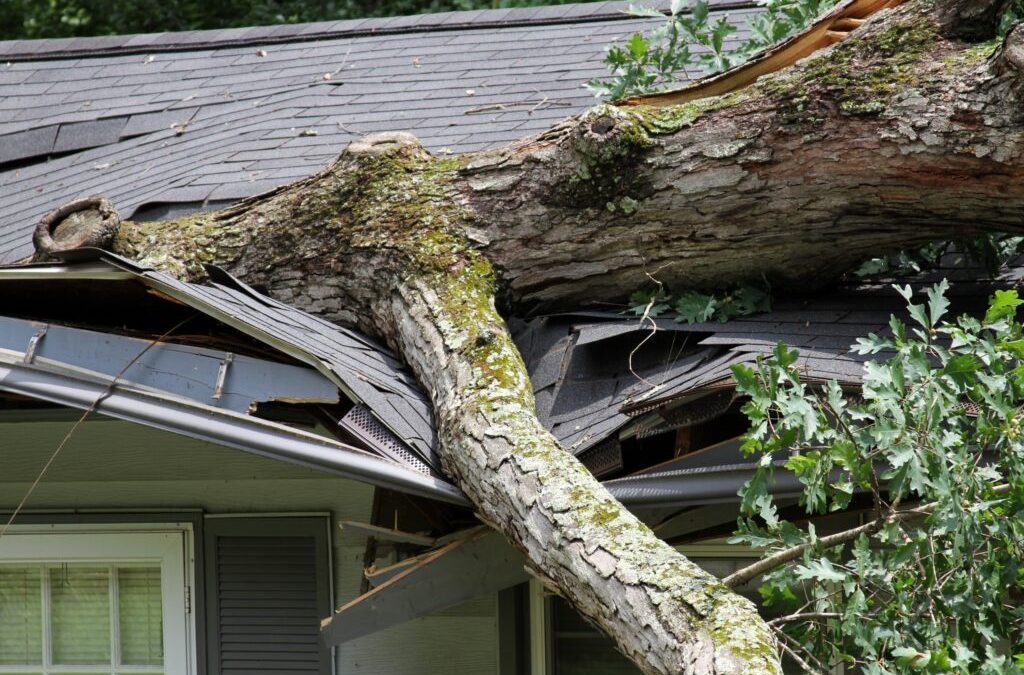 What to Know About Storm Damage Insurance Claims 