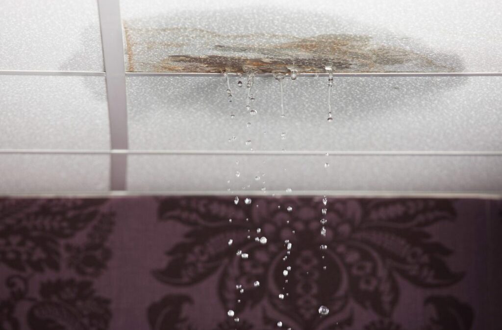 Water Damage Claims: Common Myths and Misconceptions 