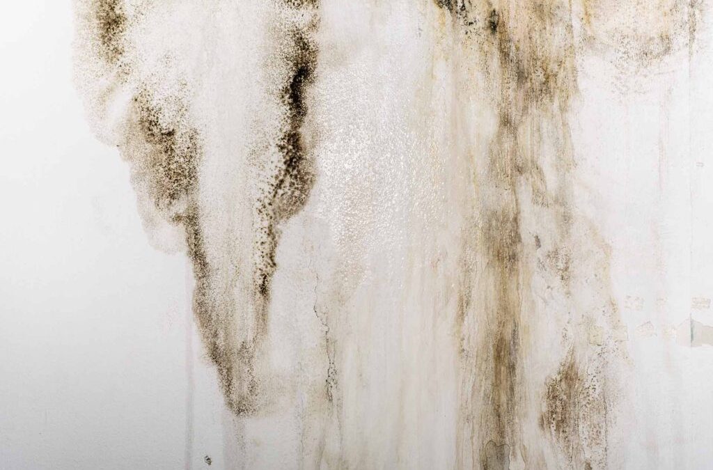 Key Places to Look for Hidden Water Damage at Home