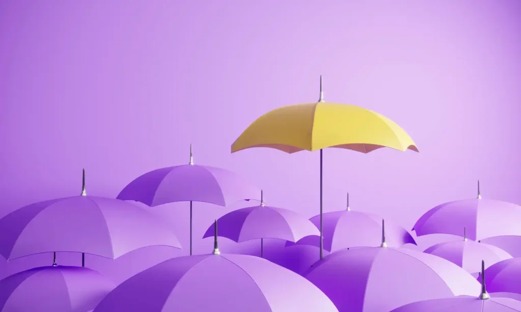 House Insurance Claims For Water Damage: Why Work With Us